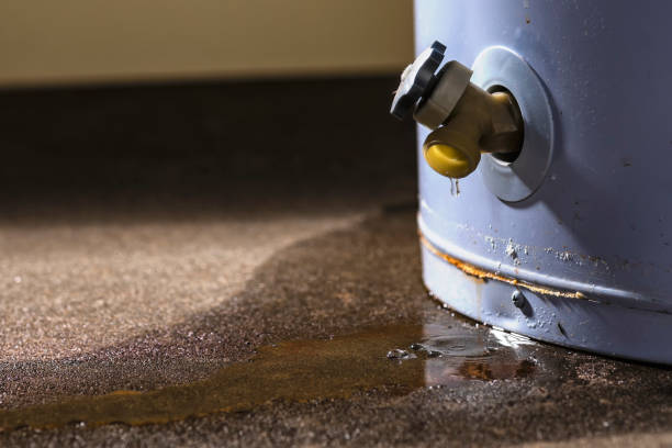 Best Flooded house restoration  in Jasmine Estates, FL