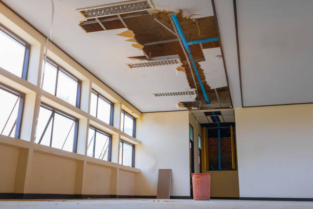 Best Water damage restoration near me  in Jasmine Estates, FL