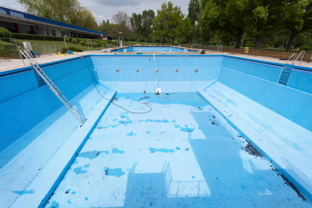 Best Professional water damage repair  in Jasmine Estates, FL