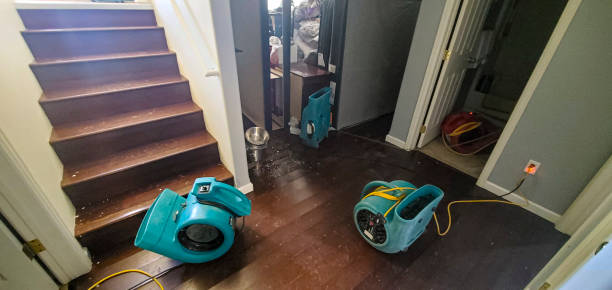 Best Water damage contractors near me  in Jasmine Estates, FL