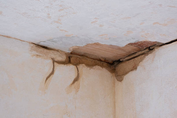 Local water damage restoration in Jasmine Estates, FL