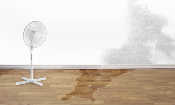 Best Emergency water damage restoration  in Jasmine Estates, FL