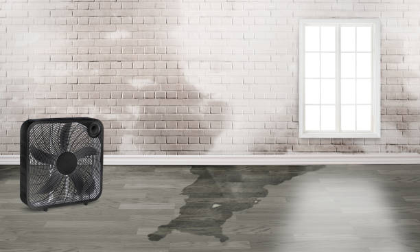 Water damage restoration process in Jasmine Estates, FL