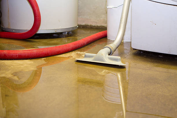 Best Fire Damage Restoration  in Jasmine Estates, FL