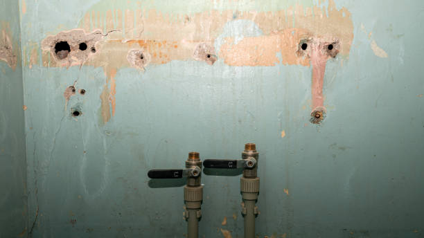 Best Residential water damage restoration  in Jasmine Estates, FL