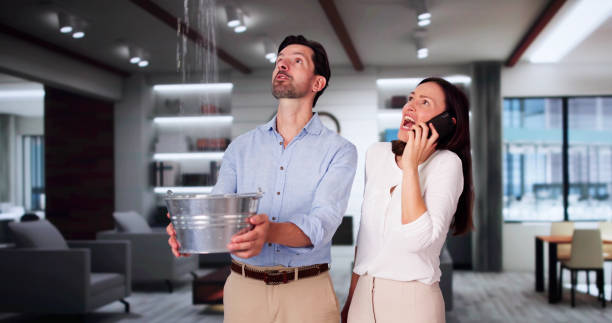 Best Basement water damage restoration  in Jasmine Estates, FL
